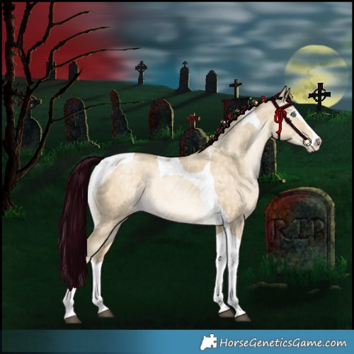 Horse Color:Brown Snowdrop Pearl Dun Splash Tobiano Rabicano 