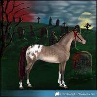 Horse Color:Brown Dun Tobiano Blanket Rabicano 