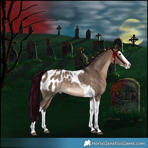 Horse Color:Brown Dun Splash Tobiano Appaloosa Rabicano 