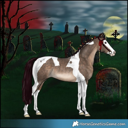 Horse Color:Brown Dun Splash Tobiano Rabicano 