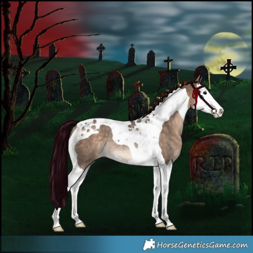 Horse Color:Bay Dun Splash Tobiano Rabicano