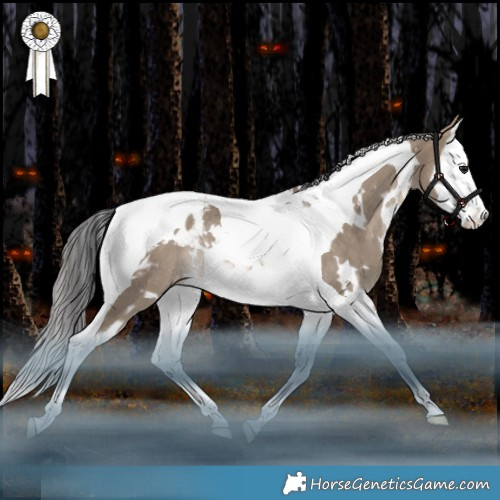 Horse Color:White Spotted Brown Dun Splash Tobiano Appaloosa Rabicano