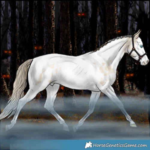 Horse Color:White Spotted Bay Snowdrop Pearl Dun Splash Tobiano Appaloosa Rabicano