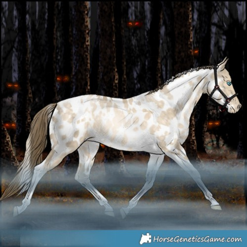 Horse Color:White Spotted Bay Snowdrop Pearl Dun Tobiano Appaloosa Rabicano