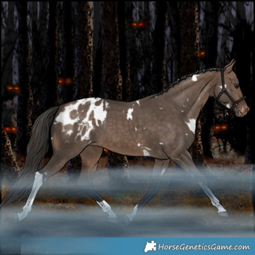 Horse Color:White Spotted Bay Dun Tobiano Appaloosa Rabicano 