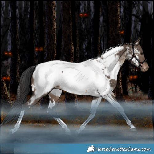 Horse Color:White Spotted Brown Dun Tobiano Appaloosa Rabicano