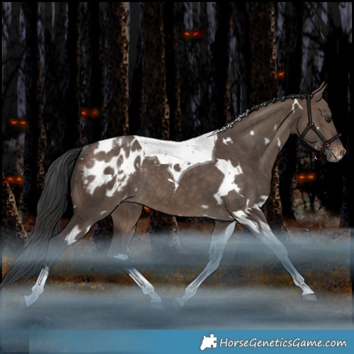 Horse Color:White Spotted Brown Dun Tobiano Appaloosa Rabicano 