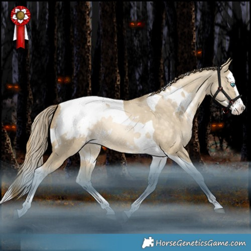 Horse Color:White Spotted Bay Snowdrop Pearl Dun Splash Tobiano Appaloosa Rabicano 