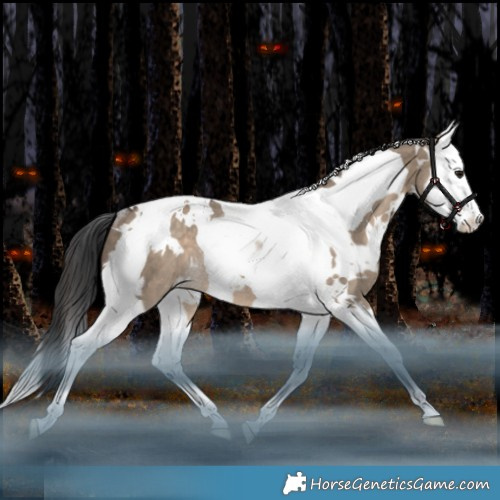 Horse Color:White Spotted Brown Dun Splash Tobiano Appaloosa Rabicano