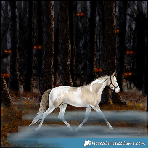 Horse Color:Brown Snowdrop Pearl Splash Tobiano Appaloosa Rabicano 