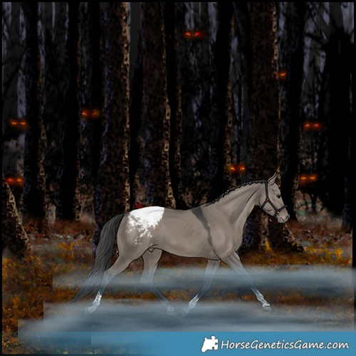 Horse Color:Grullo Tobiano Appaloosa Rabicano