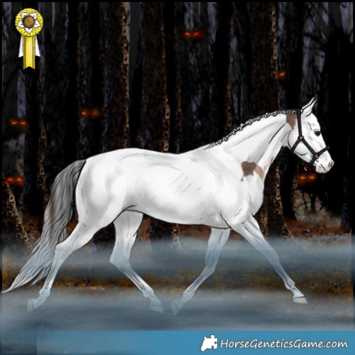 Horse Color:Bay Dun Splash Tobiano Rabicano 