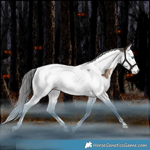 Horse Color:Bay Dun Splash Tobiano Rabicano 
