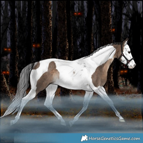 Horse Color:Brown Dun Splash Tobiano Rabicano 