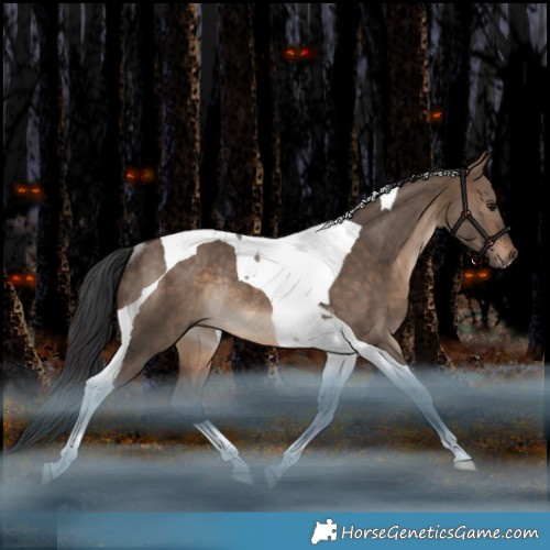 Horse Color:Bay Dun Tobiano Rabicano 