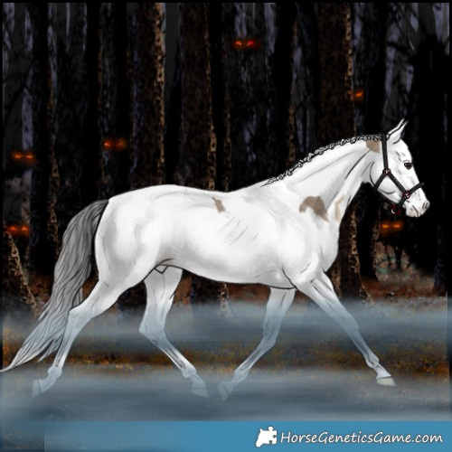 Horse Color:Bay Dun Splash Tobiano Rabicano