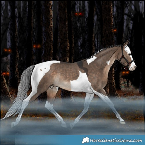 Horse Color:Brown Dun Splash Tobiano Rabicano 