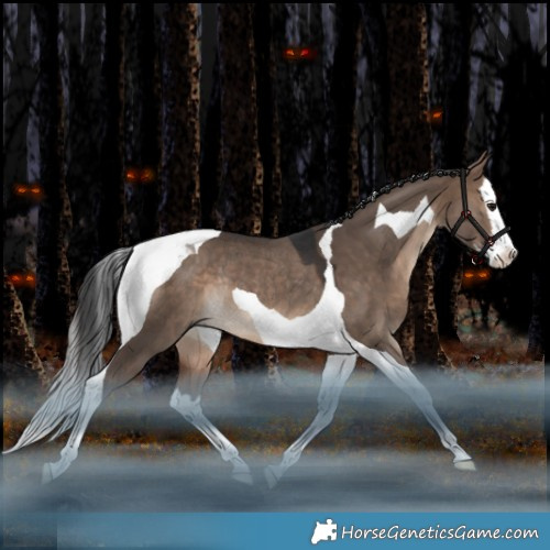 Horse Color:Bay Dun Splash Tobiano Rabicano 