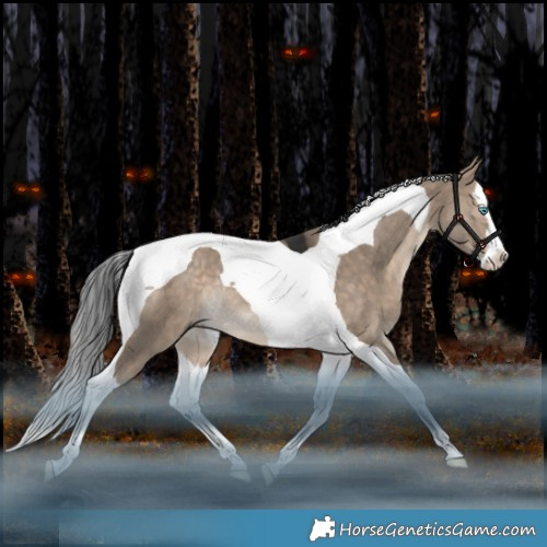 Horse Color:Bay Dun Splash Tobiano Rabicano 