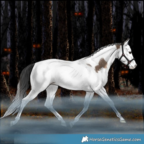 Horse Color:Brown Dun Splash Tobiano Rabicano 