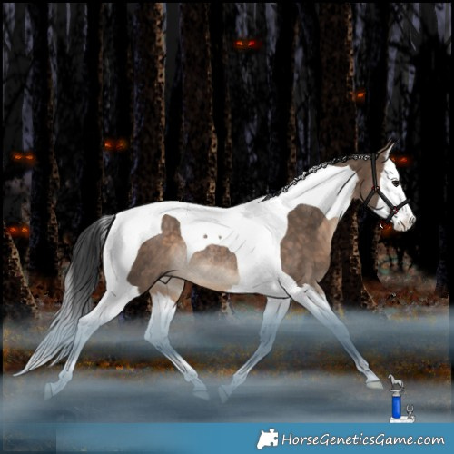 Horse Color:Brown Dun Splash Tobiano Rabicano