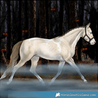 Horse Color:Brown Snowdrop Pearl Dun Splash Tobiano Varnish Rabicano