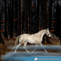 Horse Color:White Spotted Black Snowdrop Pearl Tobiano Rabicano