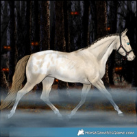 Horse Color:Brown Snowdrop Dun Tobiano Blanket Rabicano 