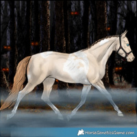 Horse Color:Brown Snowdrop Pearl Dun Tobiano Rabicano