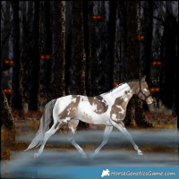 Horse Color:White Spotted Brown Dun Tobiano Appaloosa Rabicano 