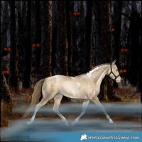 Horse Color:Bay Snowdrop Pearl Tobiano Rabicano