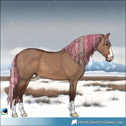 Horse Color:Painted Silver Bay Dun 