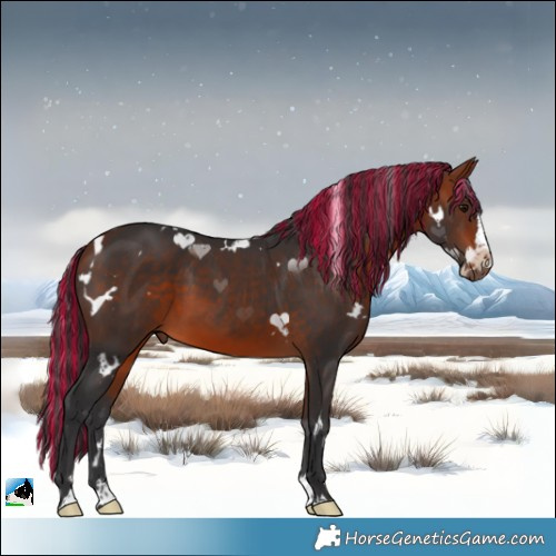 Horse Color:Painted White Spotted Bay Splash 