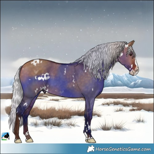 Horse Color:White Spotted Silver Bay Dun Splash Rabicano 