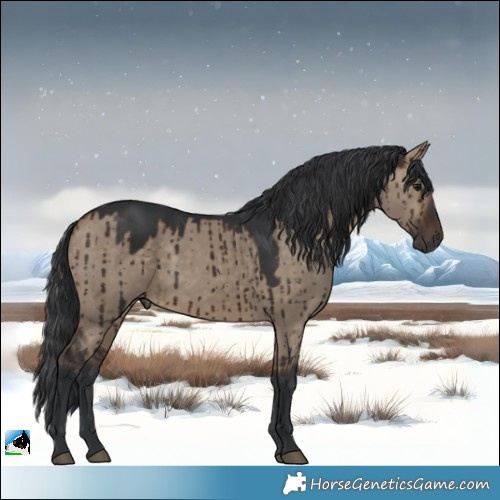 Horse Color:Brown Dun Rabicano Brindle 