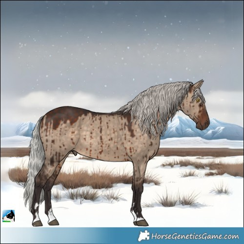 Horse Color:Silver Brown Dun Brindle 