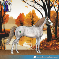 Horse Color:Liver Red Roan Splash
