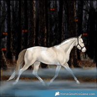 Horse Color:Grullo Snowdrop Splash Tobiano Varnish Rabicano