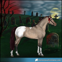 Horse Color:Brown Dun Tobiano Snowcap Rabicano