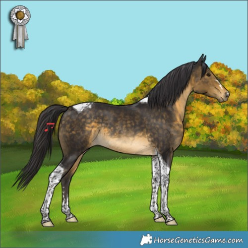 Horse Color:Buckskin Tobiano Rabicano