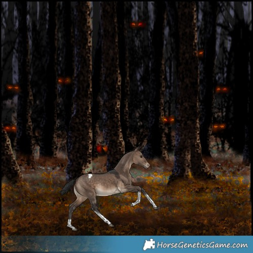 Horse Color:Brown Dun Tobiano Appaloosa Rabicano 