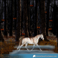 Horse Color:White Spotted Bay Pearl Dun Tobiano Rabicano