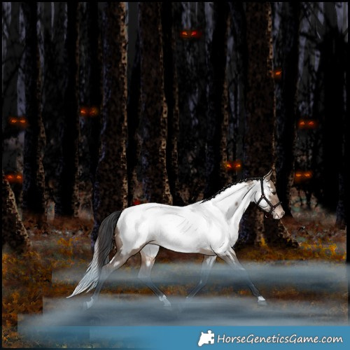 Horse Color:White Spotted Bay Dun Appaloosa Rabicano