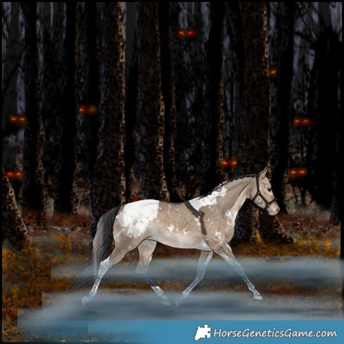 Horse Color:White Spotted Bay Dun Tobiano Appaloosa Rabicano