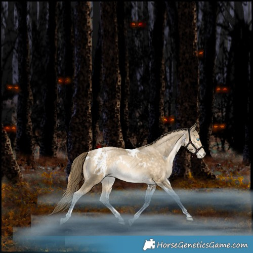 Horse Color:White Spotted Bay Snowdrop Pearl Tobiano Rabicano 