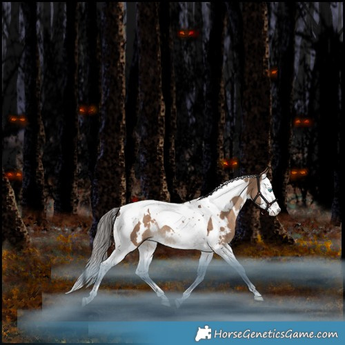 Horse Color:White Spotted Liver Red Dun Splash Tobiano Rabicano 