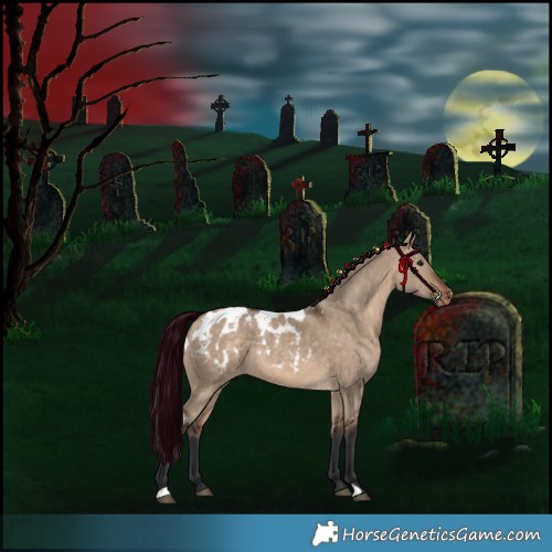 Horse Color:Brown Dun Skewed Appaloosa 