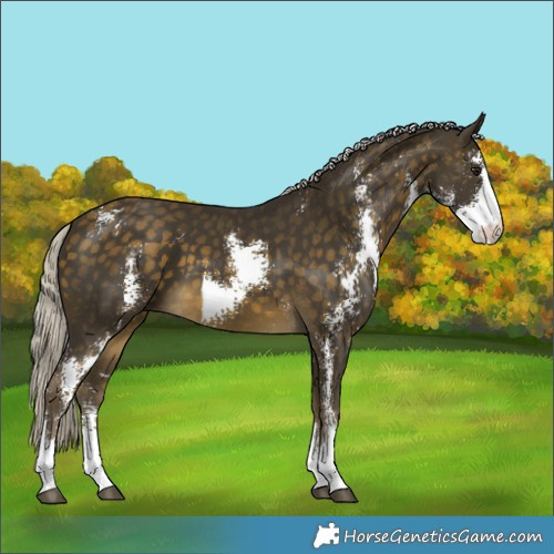 Horse Color:Silver Buckskin Sabino 