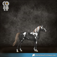 Horse Color:Liver Chestnut Skewed LP Spotted 