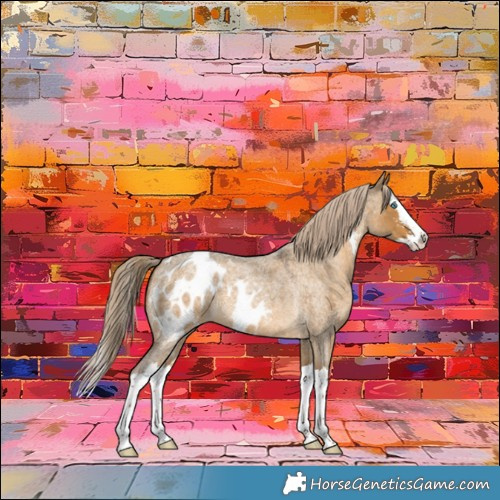 Horse Color:Chocolate Palomino Roan Dun Sabino Splash Skewed Appaloosa